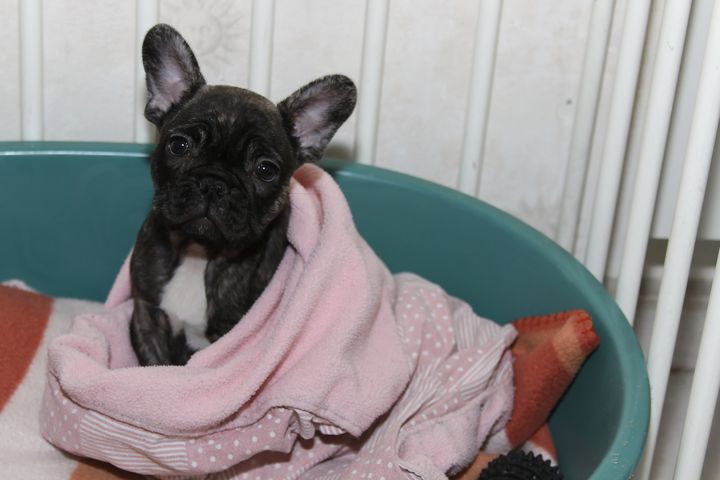 img_0259_dxo img_0259_dxo