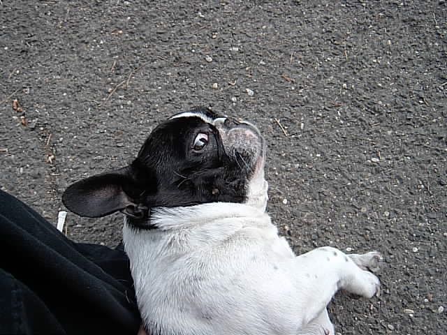 I'm just having a look