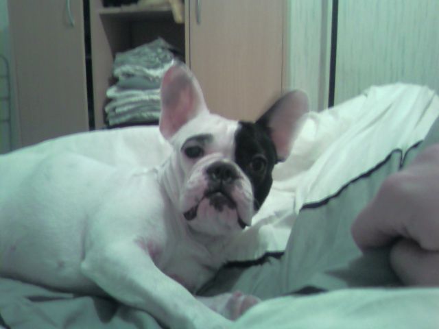 kalie_se_reveille