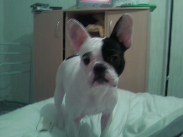 photo0004