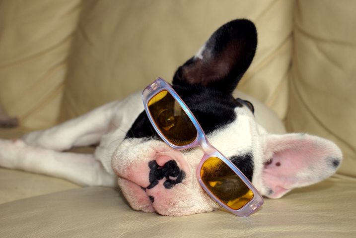 parce_que_je_le_vaux_bien