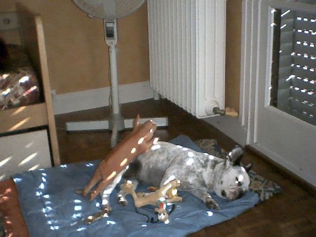 Repos avec les jouets