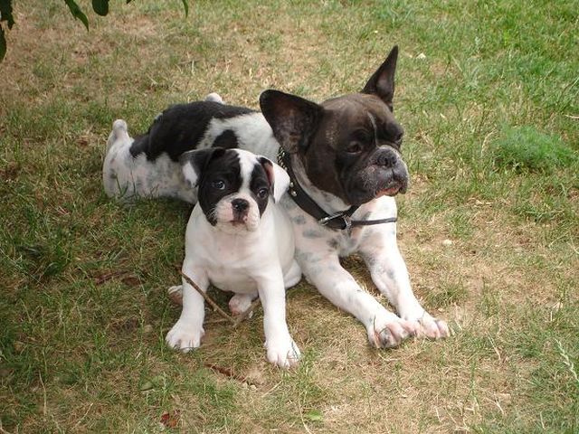 Nikita et Ursula, sa maman