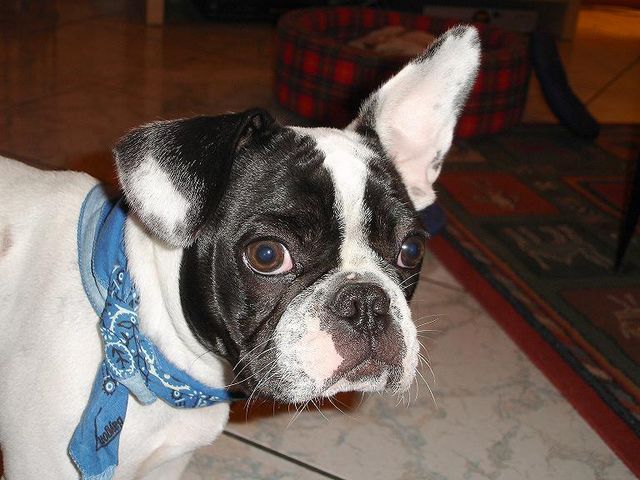 Nikita a un problème