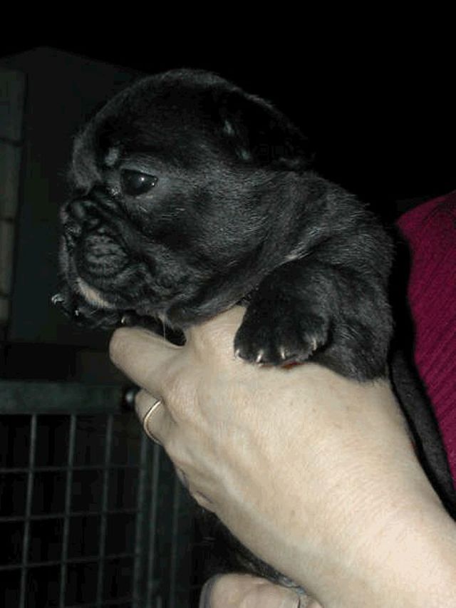 Ma petite Pépita à 1 mois