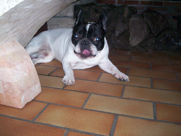 Mon nouveau chez moi