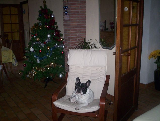 Mon nouveau chez moi