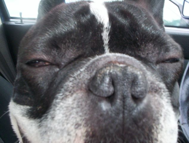 C'est qui le plus beau?