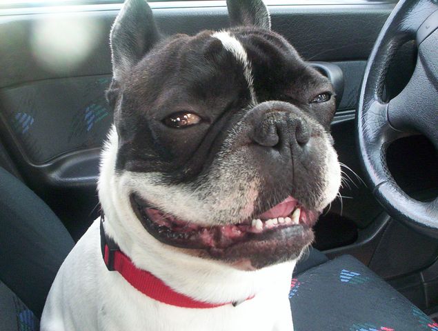 J'aime la voiture de mon papa J'aime la voiture de mon papa