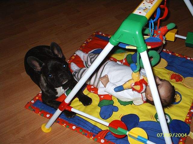 Vercingétorix et Louise