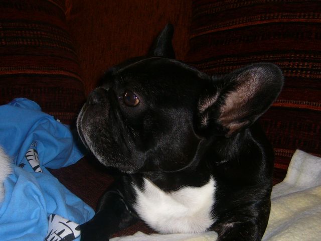 Non pas de photo aujourd'hui Non pas de photo aujourd'hui