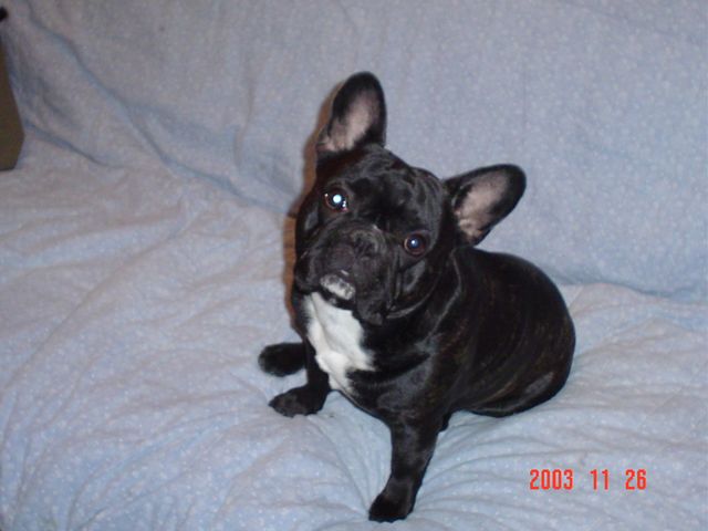 Rocco aime se faire prendre en photo