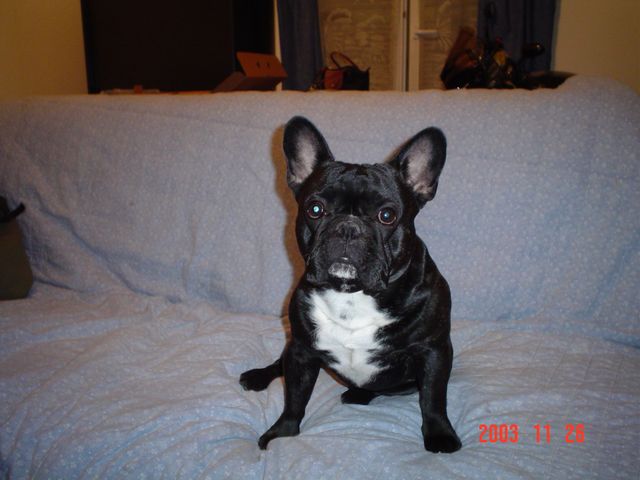 Rocco aime se faire prendre en photo