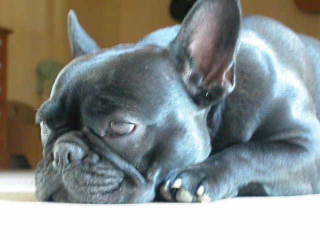 2003_0529_152029AA 2003_0529_152029AA