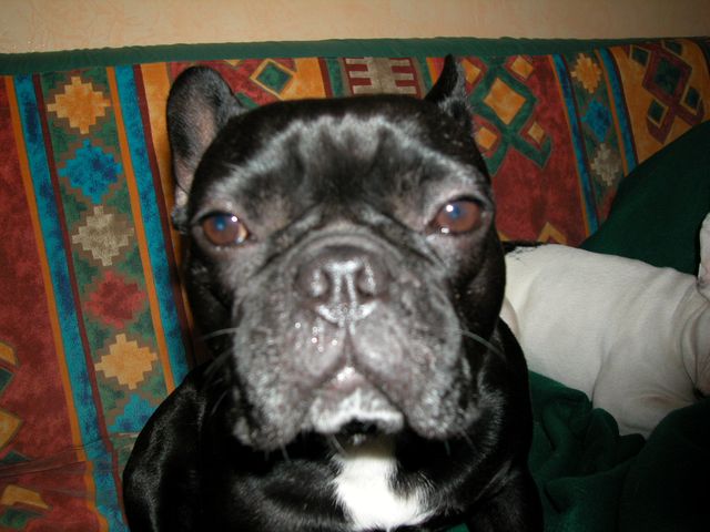 2003_0928_130306AA 2003_0928_130306AA