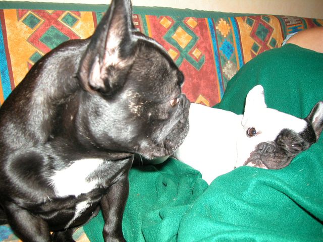 2003_0928_130315AA 2003_0928_130315AA