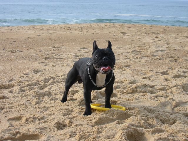 109-0946_IMG 109-0946_IMG