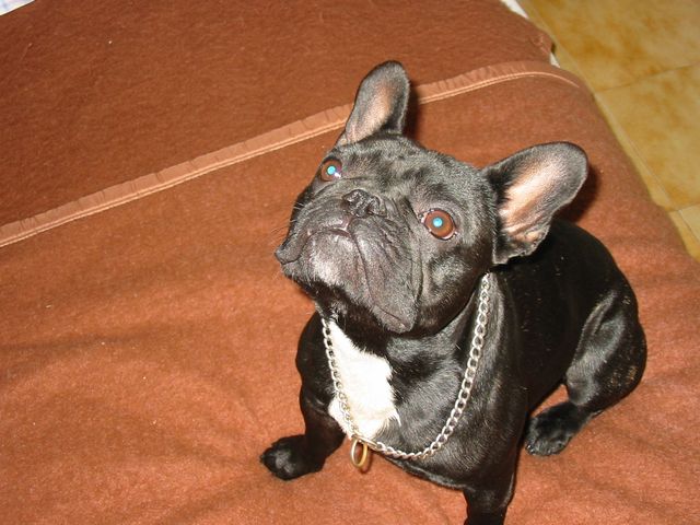 109-0955_IMG 109-0955_IMG