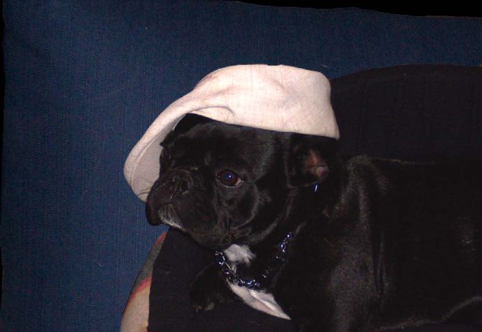 Fashion victim