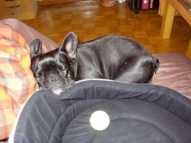 Mon nouveau panier Mon nouveau panier