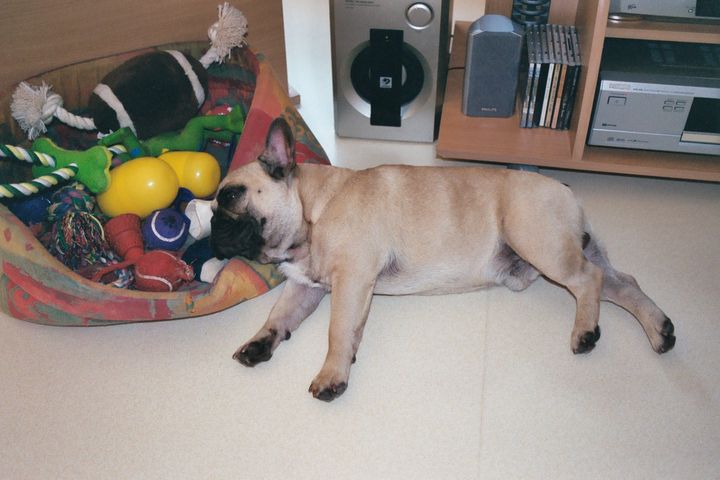 Le repos du guerrier