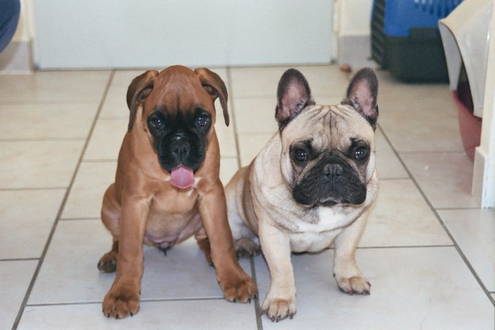 C'est fatiguant de prendre les poses