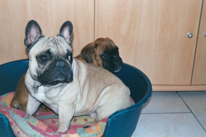 Recherche panier libre désespérément 2