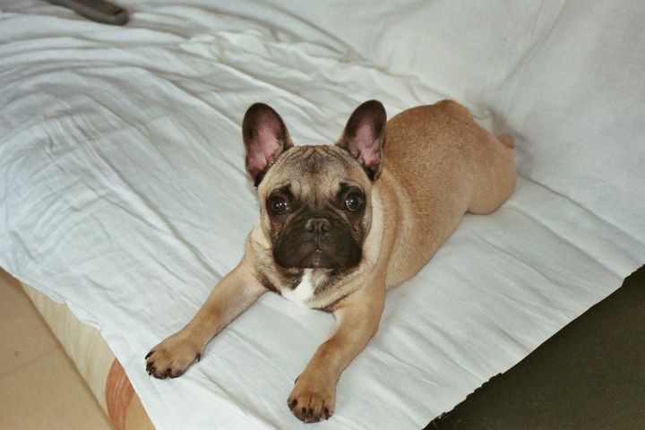 C'est dur le réveil