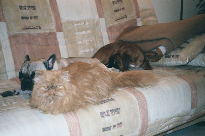 Photos de famille
