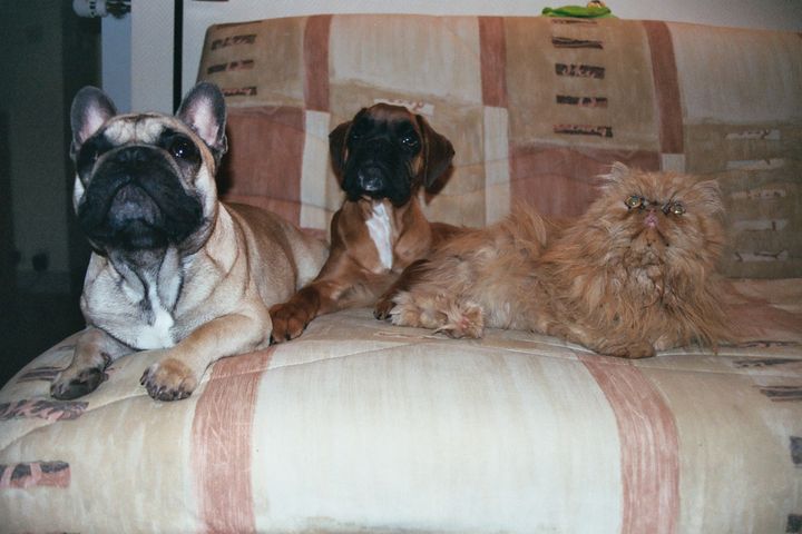 Photos de famille