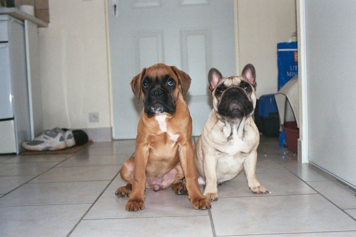 Ze pose