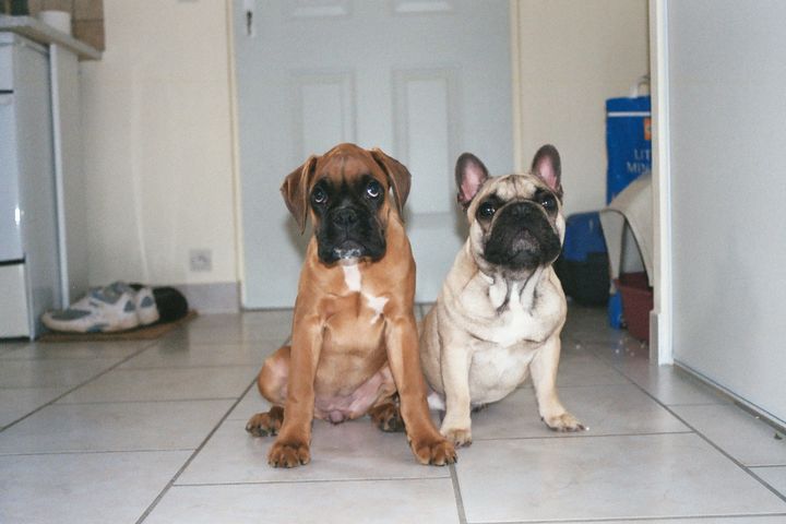 Ze pose