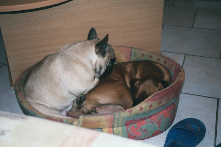Repose tête