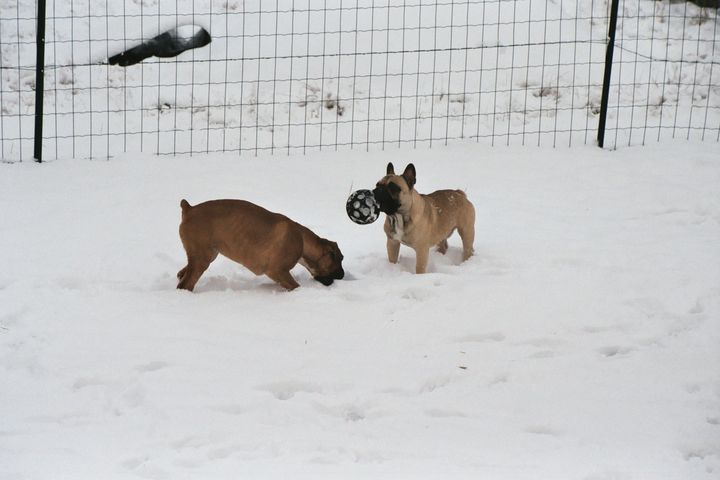 Les joies de la neige