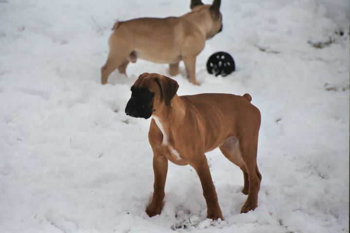 Les joies de la neige