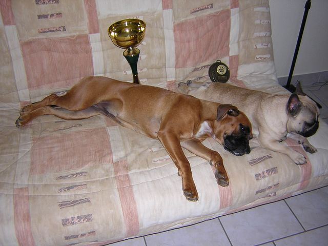 Pose photo pour les récompenses