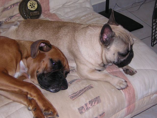 Pose photo pour les récompenses