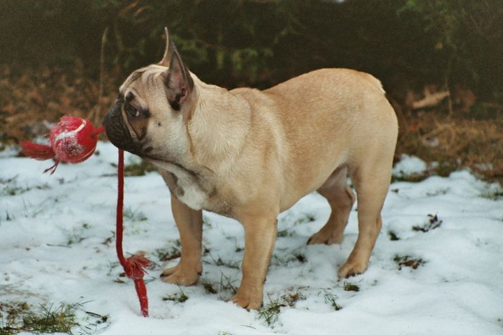 Touche pas à ma balle