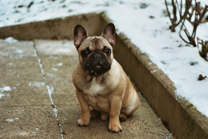 Tann va en vacances à la neige