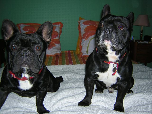 Teddy et son père Pépito