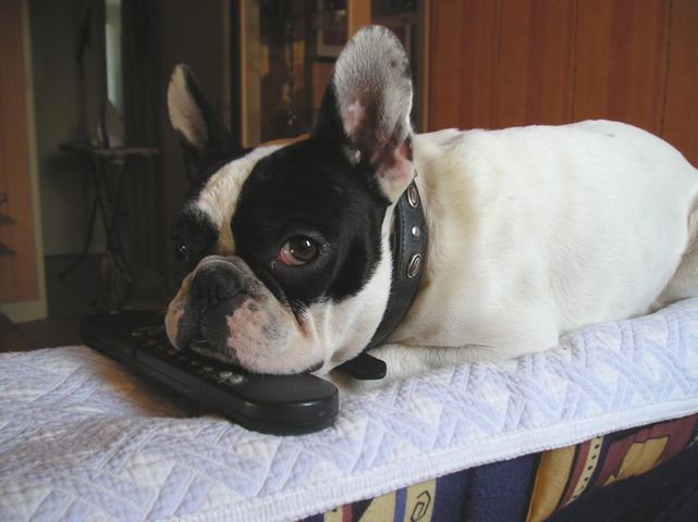 C'est MA télécommande