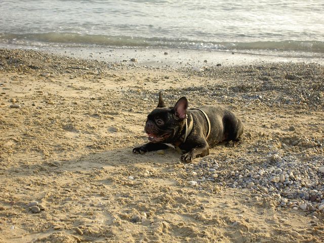 A la plage