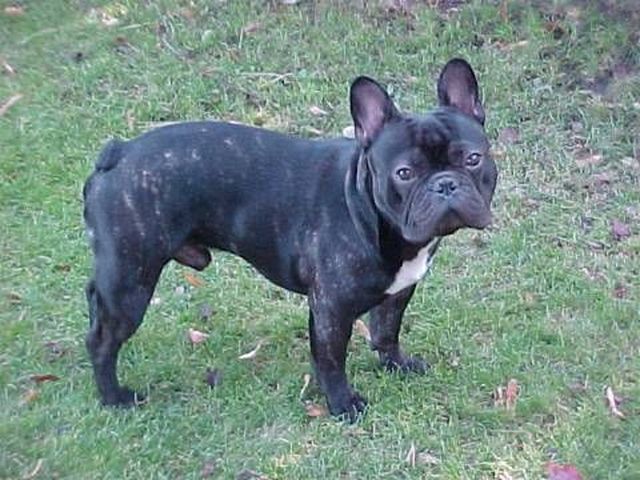 Théo dans son jardin