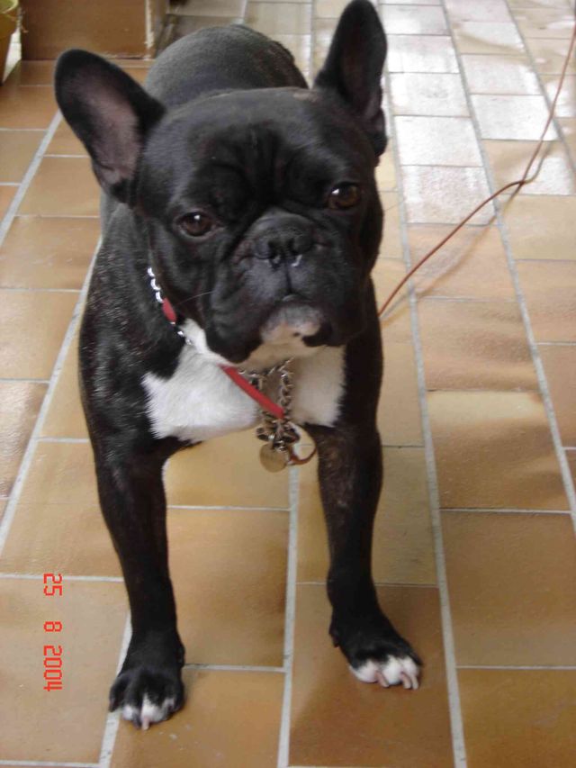 Couillou!!!