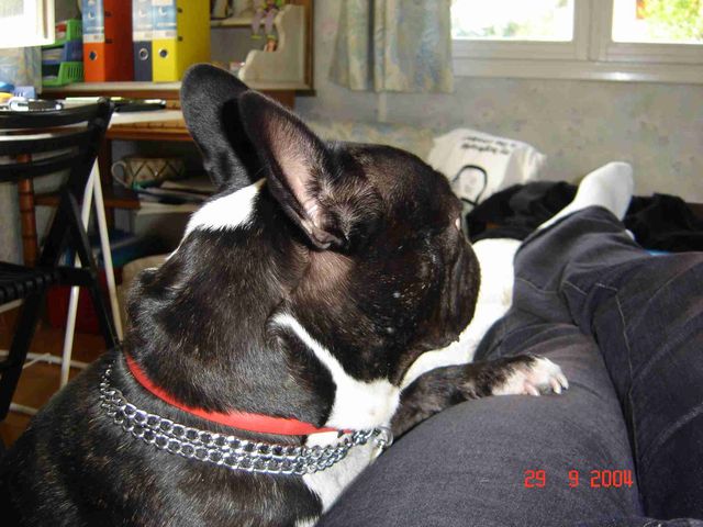 Ze ve monter sur le lit!!!