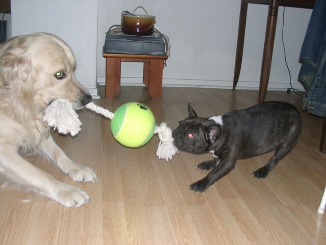 a_votre_avis_qui_va_gagner