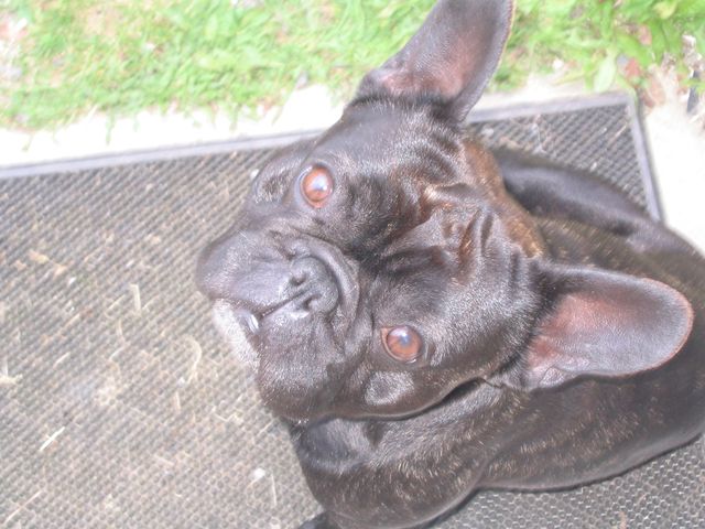 Moi les boulettes je l'es fais toutes craquer!