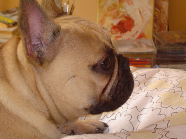 dsc00956