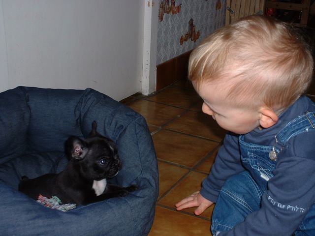 Tête à tête avec mon petit maitre