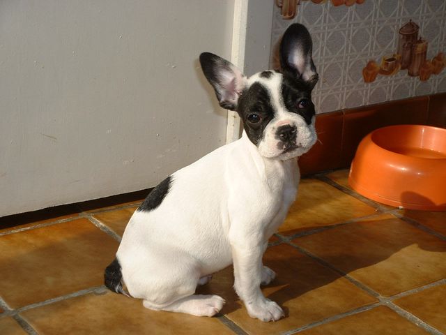 Ulane pause au soleil